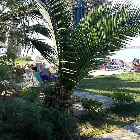 Polat Riva 3*
